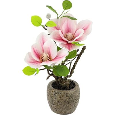 Flair Flower Sztuczna magnolia w doniczce, 33 cm, jak prawdziwa, dekoracyjna, sztuczne kwiaty, roślina pokojowa, drzewo, mały prezent, kwiaty magnolii, liście, sztuczna roślina wiosenna, dekoracja doniczkowa Flair Flower Sztuczna magnolia w doniczce, 33 cm, jak prawdziwa, dekoracyjna, sztuczne kwiaty, roślina pokojowa, drzewo, mały prezent, kwiaty magnolii, liście, sztuczna roślina wiosenna, dekoracja doniczkowa