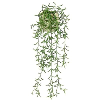 Flair Flower Sztuczna roślina pnąca, roślina wisząca, sztuczna roślina, roślina pnąca, bluszcz, roślina zielona, roślina pokojowa, dekoracyjna, islandzka, sztuczny mech, girlanda Flair Flower Sztuczna roślina pnąca, roślina wisząca, sztuczna roślina, roślina pnąca, bluszcz, roślina zielona, roślina pokojowa, dekoracyjna, islandzka, sztuczny mech, girlanda