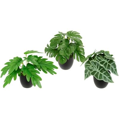 Flair Flower Zestaw mini roślin w doniczce, monstera, sztuczne rośliny, rośliny doniczkowe, rośliny pokojowe, sztuczne kwiaty, jak prawdziwe, sztuczna dekoracja, jedwabna roślina Flair Flower Zestaw mini roślin w doniczce, monstera, sztuczne rośliny, rośliny doniczkowe, rośliny pokojowe, sztuczne kwiaty, jak prawdziwe, sztuczna dekoracja, jedwabna roślina
