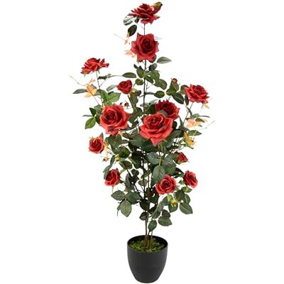 Flair Flower Krzew róży w doniczce, sztuczne róże, sztuczne róże, jedwabne kwiaty, sztuczne kwiaty, sztuczne drzewko dekoracyjne, roślina dekoracyjna, jedwabna roślina pokojowa, róża, czerwona Flair Flower Krzew róży w doniczce, sztuczne róże, sztuczne róże, jedwabne kwiaty, sztuczne kwiaty, sztuczne drzewko dekoracyjne, roślina dekoracyjna, jedwabna roślina pokojowa, róża, czerwona