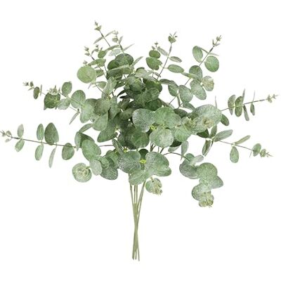 Flair Flower Sztuczna gałąź eukaliptusa, matowa, zestaw 5 sztuk, 60 cm, gałązka dekoracyjna, kwiat, florystyka, sztuczna gałąź, łodyga, dekoracja na girlandę, wieniec Flair Flower Sztuczna gałąź eukaliptusa, matowa, zestaw 5 sztuk, 60 cm, gałązka dekoracyjna, kwiat, florystyka, sztuczna gałąź, łodyga, dekoracja na girlandę, wieniec