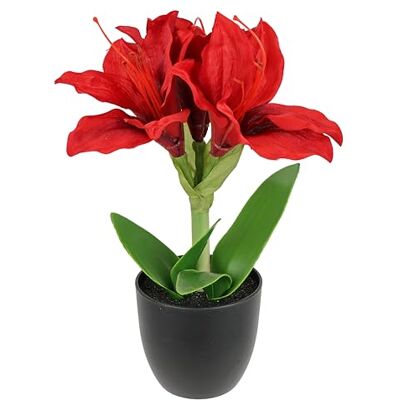 Flair Flower Sztuczne amarylis w doniczce, 28 cm, kwiat bożonarodzeniowy, jedwabny kwiat, dekoracja bożonarodzeniowa, kwiaty zimowe, florystyka, aranżacja w doniczce, na Boże Narodzenie, sztuczne kwiaty Flair Flower Sztuczne amarylis w doniczce, 28 cm, kwiat bożonarodzeniowy, jedwabny kwiat, dekoracja bożonarodzeniowa, kwiaty zimowe, florystyka, aranżacja w doniczce, na Boże Narodzenie, sztuczne kwiaty