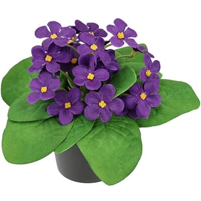 Flair Flower Sztuczny fiołek w doniczce, 16 cm, kwiat dekoracyjny, roślina dekoracyjna, wiosenna, sztuczna roślina, pierwiosnek, pierwiosnek, pierwiosnek, jedwabny kwiat, roślina pokojowa Flair Flower Sztuczny fiołek w doniczce, 16 cm, kwiat dekoracyjny, roślina dekoracyjna, wiosenna, sztuczna roślina, pierwiosnek, pierwiosnek, pierwiosnek, jedwabny kwiat, roślina pokojowa
