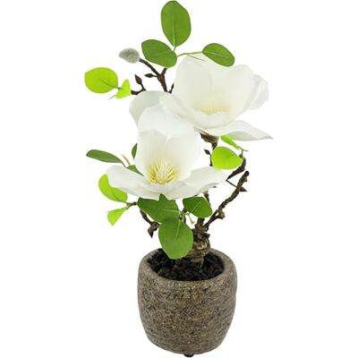 Flair Flower Sztuczna magnolia w doniczce 33 cm, jak prawdziwa, dekoracyjna, sztuczne kwiaty, roślina pokojowa, drzewo, mały prezent, kwiaty magnolii, liście, sztuczna roślina wiosenna, dekoracja doniczkowa, biała Flair Flower Sztuczna magnolia w doniczce 33 cm, jak prawdziwa, dekoracyjna, sztuczne kwiaty, roślina pokojowa, drzewo, mały prezent, kwiaty magnolii, liście, sztuczna roślina wiosenna, dekoracja doniczkowa, biała