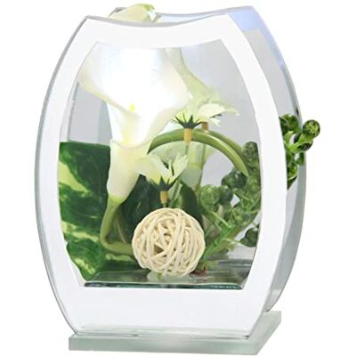 Flair Flower Sztuczny kwiat Calla z oświetleniem LED w szkle z lustrem, dekoracja, stojak, dekoracja stołu, dekoracja mieszkania, obiekt dekoracyjny, rzeźba, ornament, dekoracja ślubna, figurka dekoracyjna, obraz Flair Flower Sztuczny kwiat Calla z oświetleniem LED w szkle z lustrem, dekoracja, stojak, dekoracja stołu, dekoracja mieszkania, obiekt dekoracyjny, rzeźba, ornament, dekoracja ślubna, figurka dekoracyjna, obraz