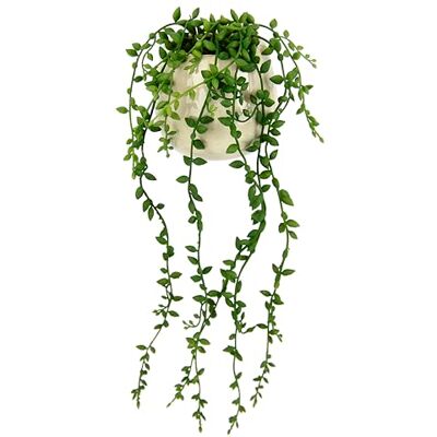 Flair Flower Senecio sztuczna roślina wisząca, sukulenty, dekoracja ścienna, sztuczna roślina, wisząca roślina pnąca, bluszcz, zielona roślina pokojowa, roślina dekoracyjna, girlanda Flair Flower Senecio sztuczna roślina wisząca, sukulenty, dekoracja ścienna, sztuczna roślina, wisząca roślina pnąca, bluszcz, zielona roślina pokojowa, roślina dekoracyjna, girlanda