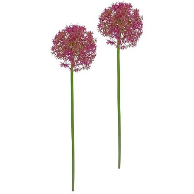 Flair Flower Sztuczny kwiat Allium ozdobny czosnek kulisty, gałązka, pojedynczy kwiat łodygi, florystyka, sztuczne kwiaty, dodatek do sztucznych bukietów i bukietów kwiatowych, dekoracja Flair Flower Sztuczny kwiat Allium ozdobny czosnek kulisty, gałązka, pojedynczy kwiat łodygi, florystyka, sztuczne kwiaty, dodatek do sztucznych bukietów i bukietów kwiatowych, dekoracja