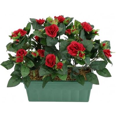 Flair Flower Sztuczny krzew dzikiej róży w pudełku, 30 cm, dekoracyjne róże, sztuczne róże, krzak róży, sztuczna roślina, kwiaty, dekoracja ślubna, dekoracja kwiatowa, jedwabne kwiaty, dekoracyjne kwiaty Flair Flower Sztuczny krzew dzikiej róży w pudełku, 30 cm, dekoracyjne róże, sztuczne róże, krzak róży, sztuczna roślina, kwiaty, dekoracja ślubna, dekoracja kwiatowa, jedwabne kwiaty, dekoracyjne kwiaty