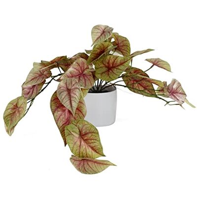 Leaf 30cm Różowy Caladium Sztuczna roślina - Sztuczna roślina Leaf 30cm Różowy Caladium Sztuczna roślina - Sztuczna roślina