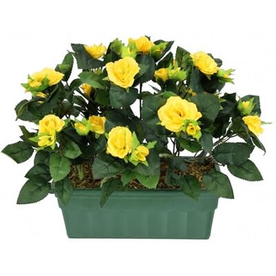 Flair Flower Sztuczny krzew dzikiej róży w pudełku, 30 cm, dekoracyjne róże, sztuczne róże, krzak róży, sztuczna roślina, kwiaty, dekoracja ślubna, dekoracja kwiatowa, jedwabne kwiaty, dekoracyjne kwiaty Flair Flower Sztuczny krzew dzikiej róży w pudełku, 30 cm, dekoracyjne róże, sztuczne róże, krzak róży, sztuczna roślina, kwiaty, dekoracja ślubna, dekoracja kwiatowa, jedwabne kwiaty, dekoracyjne kwiaty