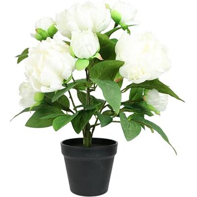 Flair Flower Sztuczny krzew peonii w doniczce 40 cm krzew peonii piwonia róża chłopska peonie krzew różany sztuczna petonia roślina doniczkowa kwiaty dekoracyjne sztuczne kwiaty jedwabne dekoracja wesele Flair Flower Sztuczny krzew peonii w doniczce 40 cm krzew peonii piwonia róża chłopska peonie krzew różany sztuczna petonia roślina doniczkowa kwiaty dekoracyjne sztuczne kwiaty jedwabne dekoracja wesele