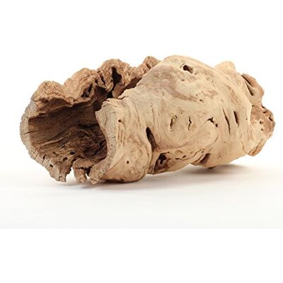 Koyal Wholesale Wydrążona gałąź drzewa winogronowego 25 cm, wazon centralny z drewna winogronowego, rośliny powietrzne, dekoracja DIY Koyal Wholesale Wydrążona gałąź drzewa winogronowego 25 cm, wazon centralny z drewna winogronowego, rośliny powietrzne, dekoracja DIY