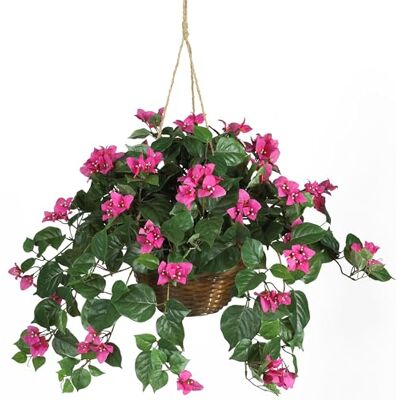 Nearly Natural Prawie naturalny 6608 61 cm Bougainvillea wiszący kosz jedwabna roślina, piękno, 26 cm x 26 cm x 47 cm Nearly Natural Prawie naturalny 6608 61 cm Bougainvillea wiszący kosz jedwabna roślina, piękno, 26 cm x 26 cm x 47 cm