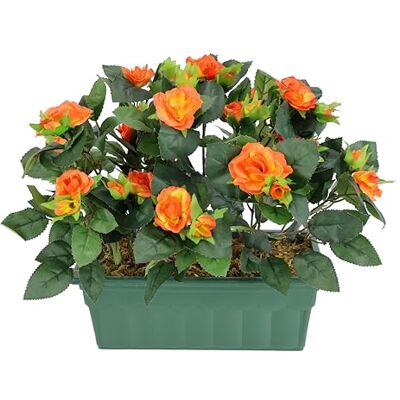 Flair Flower Sztuczny krzew dzikiej róży w pudełku, 30 cm, dekoracyjne róże, sztuczne róże, krzak róży, sztuczna roślina, kwiaty, dekoracja ślubna, dekoracja kwiatowa, jedwabne kwiaty, dekoracyjne kwiaty Flair Flower Sztuczny krzew dzikiej róży w pudełku, 30 cm, dekoracyjne róże, sztuczne róże, krzak róży, sztuczna roślina, kwiaty, dekoracja ślubna, dekoracja kwiatowa, jedwabne kwiaty, dekoracyjne kwiaty