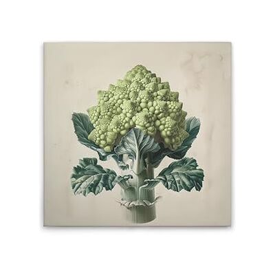 A.S. Création Obraz na płótnie Romanesco motyw kuchenny obraz ścienny w kolorze kremowym, beżowym 60 x 60 cm DD132954 A.S. Création Obraz na płótnie Romanesco motyw kuchenny obraz ścienny w kolorze kremowym, beżowym 60 x 60 cm DD132954