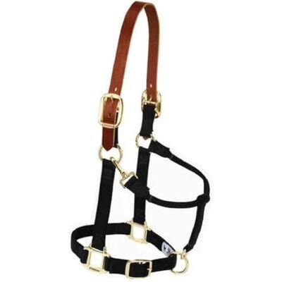 Weaver Leather Ohlávka pro koně - nylon, regulowane, czarny - Ogłowie dla konia Weaver Leather Ohlávka pro koně - nylon, regulowane, czarny - Ogłowie dla konia