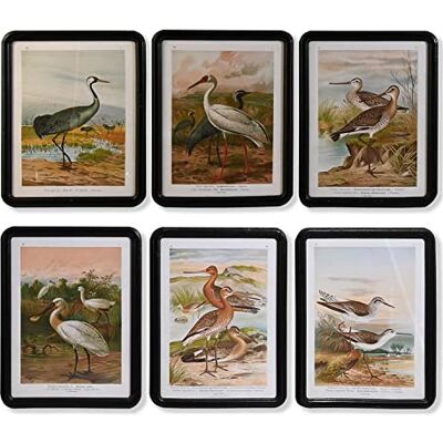 DKD Home Decor Rama, Standard DKD Home Decor Rama, Standard