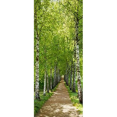 Komar Fototapeta – aleja brzozowa – wymiary 92 x 220 cm – tapeta leśna, tapeta, las, droga leśna, brzoza Komar Fototapeta – aleja brzozowa – wymiary 92 x 220 cm – tapeta leśna, tapeta, las, droga leśna, brzoza