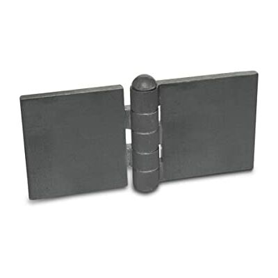Ganter Model 1366-St-120-40-A-Bl - Zawiasy Ganter Model 1366-St-120-40-A-Bl - Zawiasy