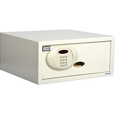 F.E.S.A. fesa 5073 Safe F.E.S.A. fesa 5073 Safe
