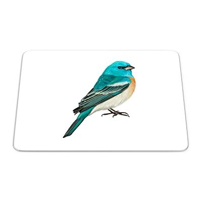 Questo Casa , Prostokąt Drukowane Cyfrowo Podkładka Pod Mysz, Antypoślizgowa Podstawa, Rozmiar: 22x18 Cm Questo Casa , Prostokąt Drukowane Cyfrowo Podkładka Pod Mysz, Antypoślizgowa Podstawa, Rozmiar: 22x18 Cm