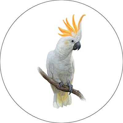 Bonateks , Okrągła podkładka pod mysz z nadrukiem cyfrowym, antypoślizgowy spód, do biura i domu, średnica: 22 cm Bonateks , Okrągła podkładka pod mysz z nadrukiem cyfrowym, antypoślizgowy spód, do biura i domu, średnica: 22 cm