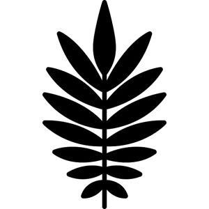 Artemio Dies Deep G Sheet Palme Artemio Dies Deep G Sheet Palme