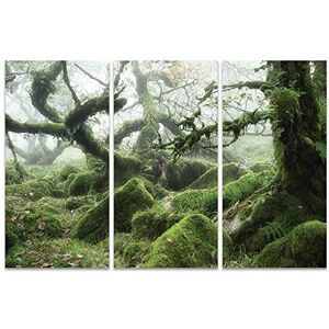 The Wistman's Wood, Dartmoor David Clapp płótno nadruk wielokolorowy, 10 x 150 x 1,3 cm The Wistman's Wood, Dartmoor David Clapp płótno nadruk wielokolorowy, 10 x 150 x 1,3 cm