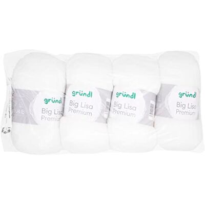 Gründl Big Lisa Premium włóczka do robienia na drutach i szydełkowania, miękka i podobna do wełny, łatwa w pielęgnacji przędza ze 100% poliakrylu, 250 g/ 665 m, grubość drutów: 3,5-4,5, 4 kłębki po Gründl Big Lisa Premium włóczka do robienia na drutach i szydełkowania, miękka i podobna do wełny, łatwa w pielęgnacji przędza ze 100% poliakrylu, 250 g/ 665 m, grubość drutów: 3,5-4,5, 4 kłębki po