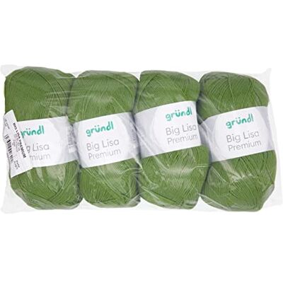 Gründl Big Lisa Premium włóczka do robienia na drutach i szydełkowania (łatwa w pielęgnacji przędza ze 100% poliakrylu, 250 g/ 665 m, grubość drutów: 3,5-4,5, 4 kłębki po 250 g), zielona Gründl Big Lisa Premium włóczka do robienia na drutach i szydełkowania (łatwa w pielęgnacji przędza ze 100% poliakrylu, 250 g/ 665 m, grubość drutów: 3,5-4,5, 4 kłębki po 250 g), zielona