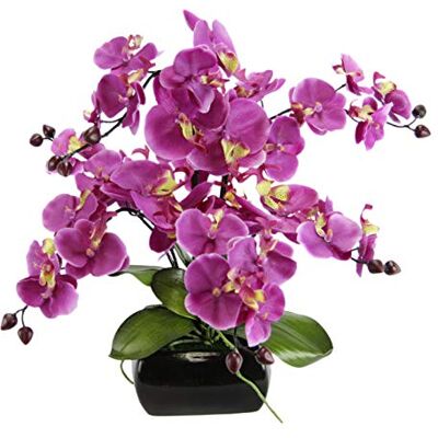 Flair Flower Sztuczny kwiat, motyl, orchidea z liśćmi i korzeniami powietrznymi w misce, z ceramiki, sztuczny orchidea, phalaenopsis z doniczką, sztuczna roślina, dekoracja weselna, jedwabny kwiat, prawdziwe w Flair Flower Sztuczny kwiat, motyl, orchidea z liśćmi i korzeniami powietrznymi w misce, z ceramiki, sztuczny orchidea, phalaenopsis z doniczką, sztuczna roślina, dekoracja weselna, jedwabny kwiat, prawdziwe w
