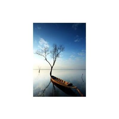 Maped Plakat format 30 x 45 cm Maped Plakat format 30 x 45 cm