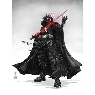 Komar Obraz ścienny Star Wars Vision Samurai Dark Lord wymiary 30 x 40 cm pokój dziecięcy, dekoracja ścienna Komar Obraz ścienny Star Wars Vision Samurai Dark Lord wymiary 30 x 40 cm pokój dziecięcy, dekoracja ścienna