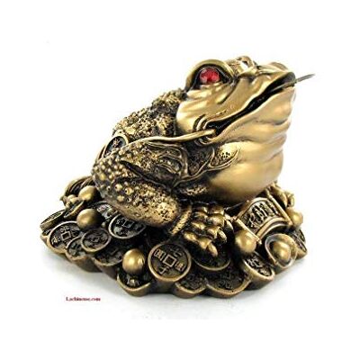 lachineuse Feng Shui etui ochronne lachineuse Feng Shui etui ochronne