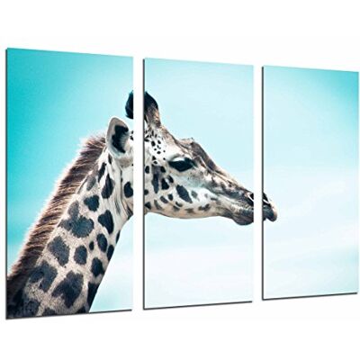 Cuadros Camara Obraz z kamerą plakat zdjęcie wielokolorowe 97 x 62 cm Cuadros Camara Obraz z kamerą plakat zdjęcie wielokolorowe 97 x 62 cm