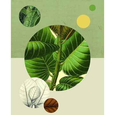 Komar obraz ścienny Green Structure plakat, obraz, salon, sypialnia, dekoracja, druk artystyczny bez ramy P054-40x50 rozmiar: 40 x 50 cm (szerokość x wysokość) Komar obraz ścienny Green Structure plakat, obraz, salon, sypialnia, dekoracja, druk artystyczny bez ramy P054-40x50 rozmiar: 40 x 50 cm (szerokość x wysokość)