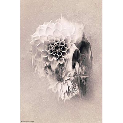 Close Up Decay Skull plakat 61 cm x 91,5 cm Close Up Decay Skull plakat 61 cm x 91,5 cm