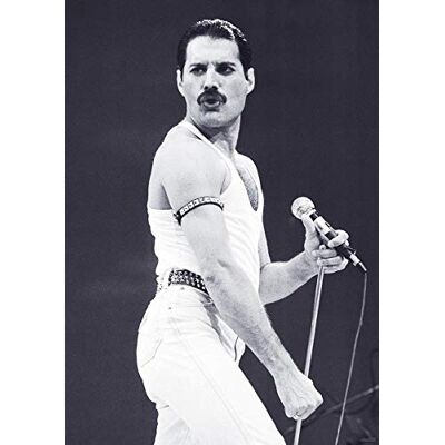 Close Up Plakat Queen Freddie Mercury (84 cm x 59,5 cm) Close Up Plakat Queen Freddie Mercury (84 cm x 59,5 cm)