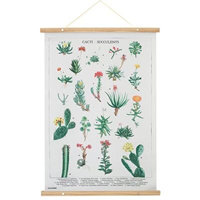 Grupo Erik Kokonote Botaniczny kaktusy Wallscroll wiszący zwój/plakat/Kakemono/dekoracja ścienna 19,7 x 27,6 cala / 50 x 70 cm wydruki botaniczne prezenty kaktusowe Grupo Erik Kokonote Botaniczny kaktusy Wallscroll wiszący zwój/plakat/Kakemono/dekoracja ścienna 19,7 x 27,6 cala / 50 x 70 cm wydruki botaniczne prezenty kaktusowe