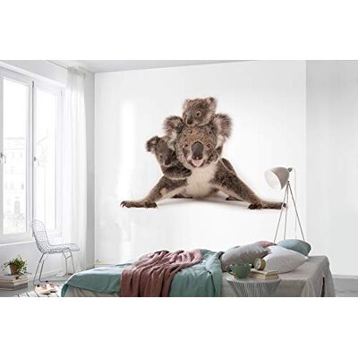 Fototapeta Koala od Komar - 300x280cm - Vliesbehang Fototapeta Koala od Komar - 300x280cm - Vliesbehang