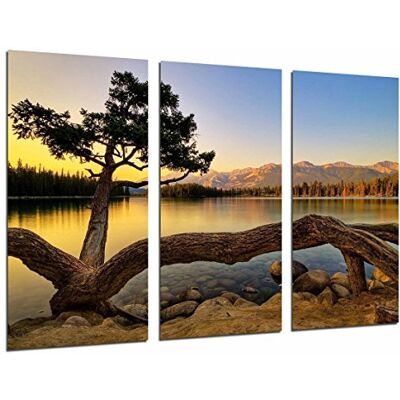 Cuadros Camara Obraz z kamerą plakat zdjęcie wielokolorowe 97 x 62 cm Cuadros Camara Obraz z kamerą plakat zdjęcie wielokolorowe 97 x 62 cm