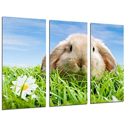 Cuadros Camara Obraz z kamerą plakat zdjęcie wielokolorowe 97 x 62 cm Cuadros Camara Obraz z kamerą plakat zdjęcie wielokolorowe 97 x 62 cm