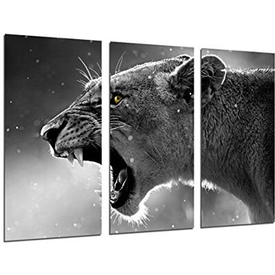 Cuadros Camara Obraz z kamerą plakat zdjęcie wielokolorowe 97 x 62 cm Cuadros Camara Obraz z kamerą plakat zdjęcie wielokolorowe 97 x 62 cm