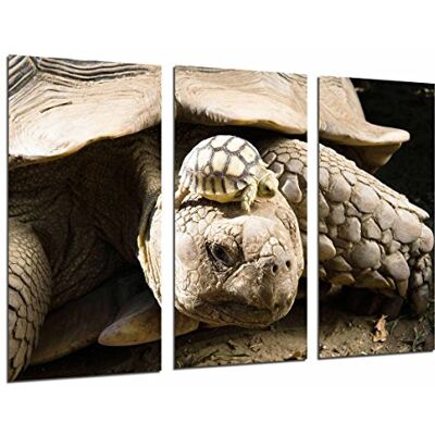 Cuadros Camara Obraz z kamerą plakat zdjęcie wielokolorowe 97 x 62 cm Cuadros Camara Obraz z kamerą plakat zdjęcie wielokolorowe 97 x 62 cm