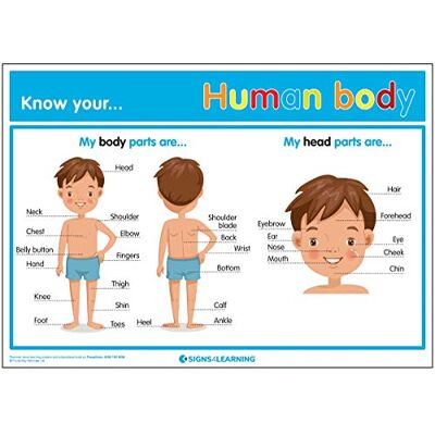 Signs 4 Learning know Znaki 4 'Learning know Your Human Body A2' plakat, standard, 420 mm x 594 mm Signs 4 Learning know Znaki 4 'Learning know Your Human Body A2' plakat, standard, 420 mm x 594 mm