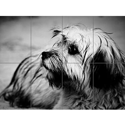 Artery8 Terrier Dog czarno-białe zdjęcie XL gigantyczny plakat panelowy (8 sekcji) Artery8 Terrier Dog czarno-białe zdjęcie XL gigantyczny plakat panelowy (8 sekcji)