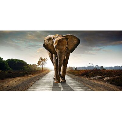 Pro-Art g1708n obraz ścienny Giclée "Słoń" 60 x 30 cm Pro-Art g1708n obraz ścienny Giclée "Słoń" 60 x 30 cm
