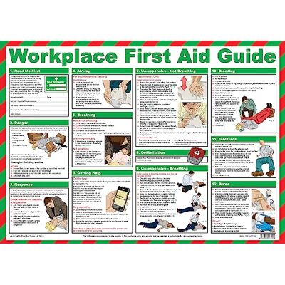 Safety First Aid Group Plakat 'First Aid at Work Guide – laminowany (59 x 42 cm) Safety First Aid Group Plakat 'First Aid at Work Guide – laminowany (59 x 42 cm)