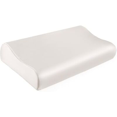 THXSILK 19 Momme Jedwabna poszewka na poduszkę z pianki z pamięcią kształtu, lateksowa poszewka na poduszkę, nadająca się do prania, naturalna biel, 50 x 30 x 9,9 cm, 1 sztuka THXSILK 19 Momme Jedwabna poszewka na poduszkę z pianki z pamięcią kształtu, lateksowa poszewka na poduszkę, nadająca się do prania, naturalna biel, 50 x 30 x 9,9 cm, 1 sztuka