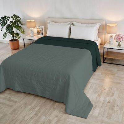 Italian Bed Linen Kołdra letnia GOLIA, wyprodukowana we Włoszech, 100% poliester dwustronna narzuta z efektem wody lekki koc z wypełnieniem 65 g Łóżko podwójne 260 x 250 cm Salvia/OTTANIUM Italian Bed Linen Kołdra letnia GOLIA, wyprodukowana we Włoszech, 100% poliester dwustronna narzuta z efektem wody lekki koc z wypełnieniem 65 g Łóżko podwójne 260 x 250 cm Salvia/OTTANIUM